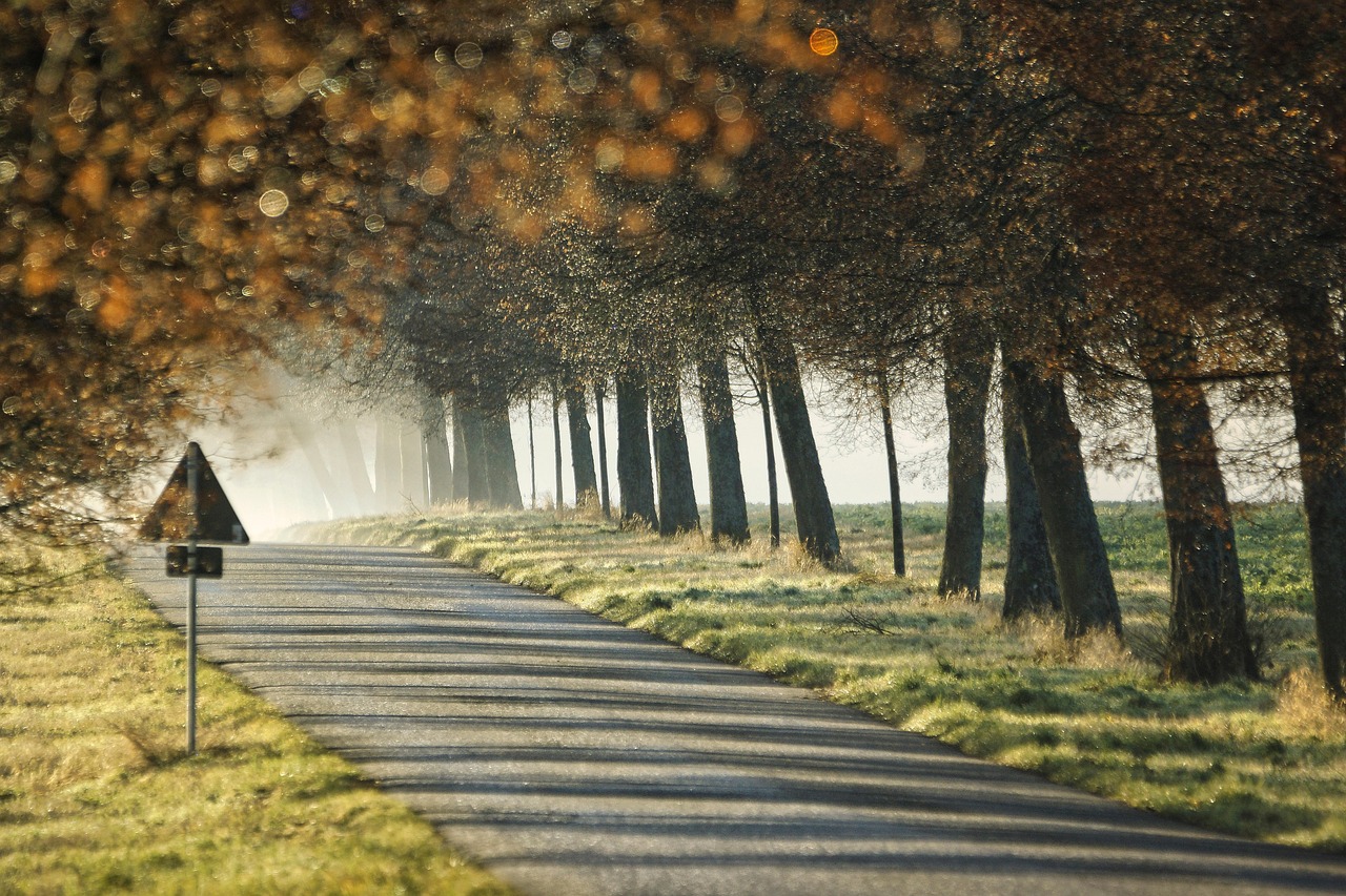 Strasse