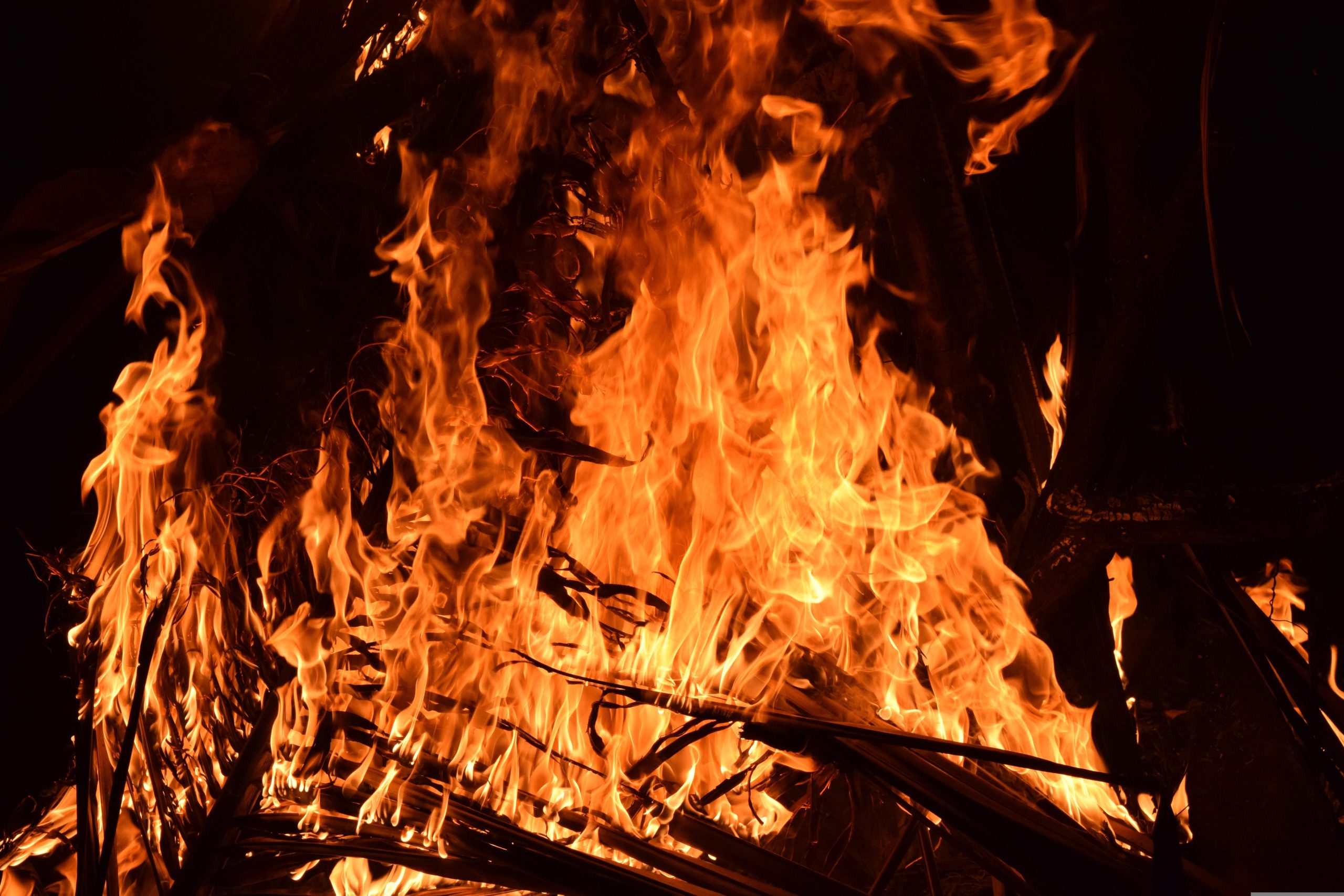 Brennholzsammeln für das Martinsfeuer, 07.11.2026